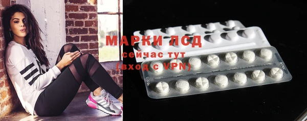 гашик Кодинск