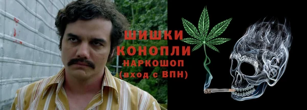 гашик Кодинск