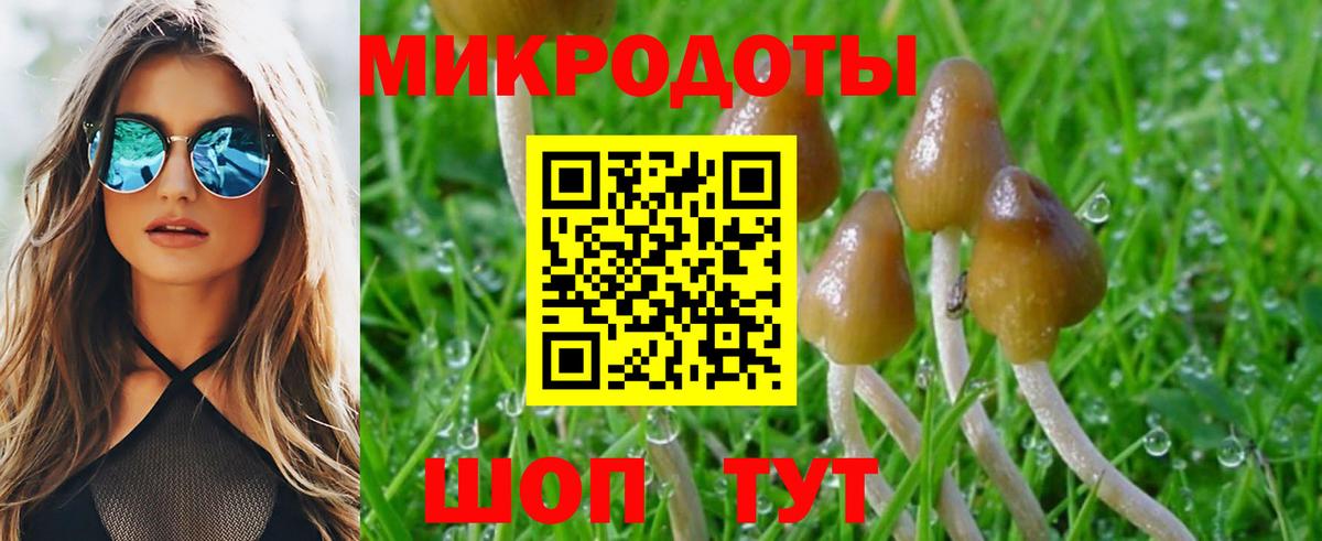 Галлюциногенные грибы Psilocybe  Вход с VPN  Ухта  Псилоцибиновые грибы мицелий 
